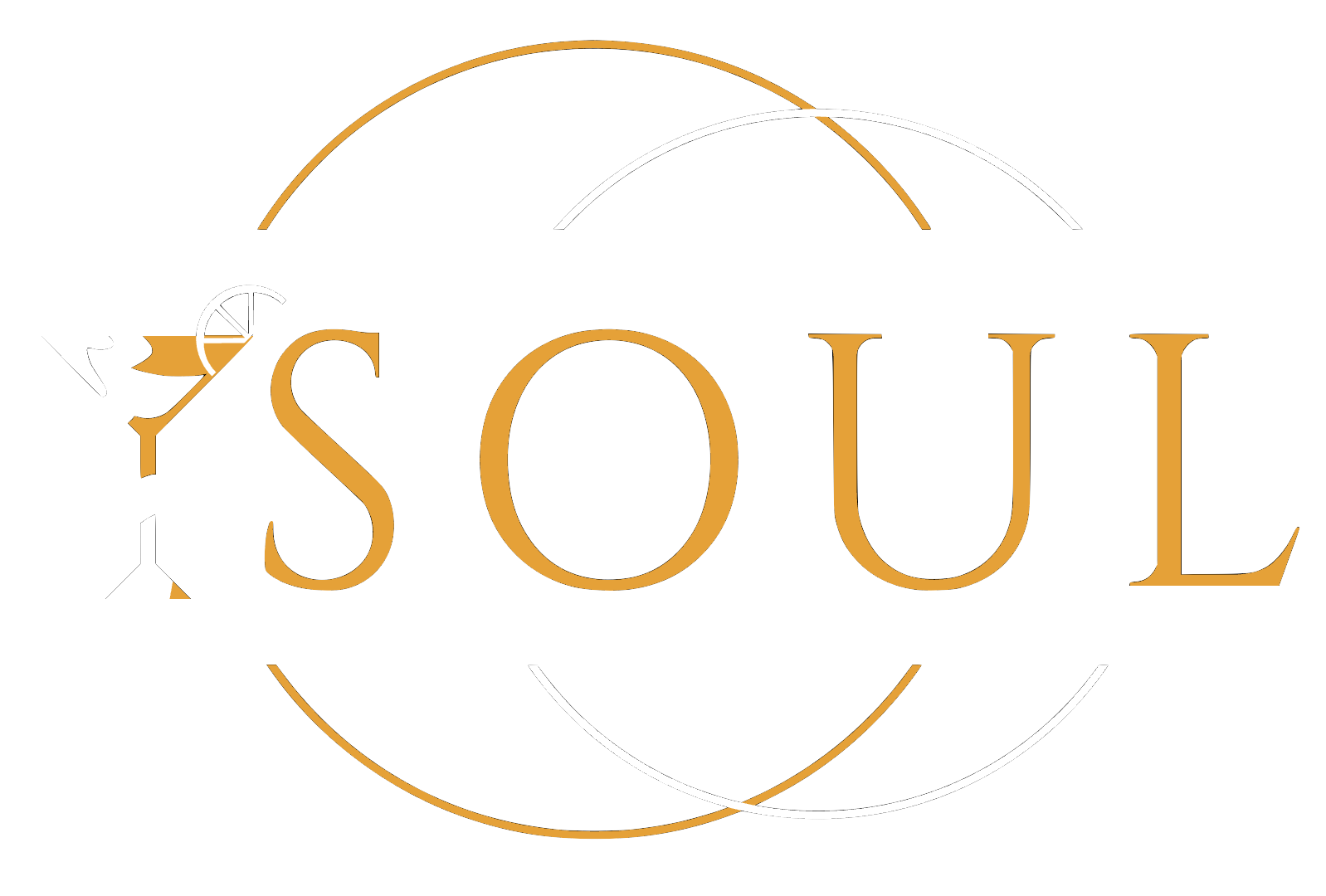 Soul Mallorca Logo
